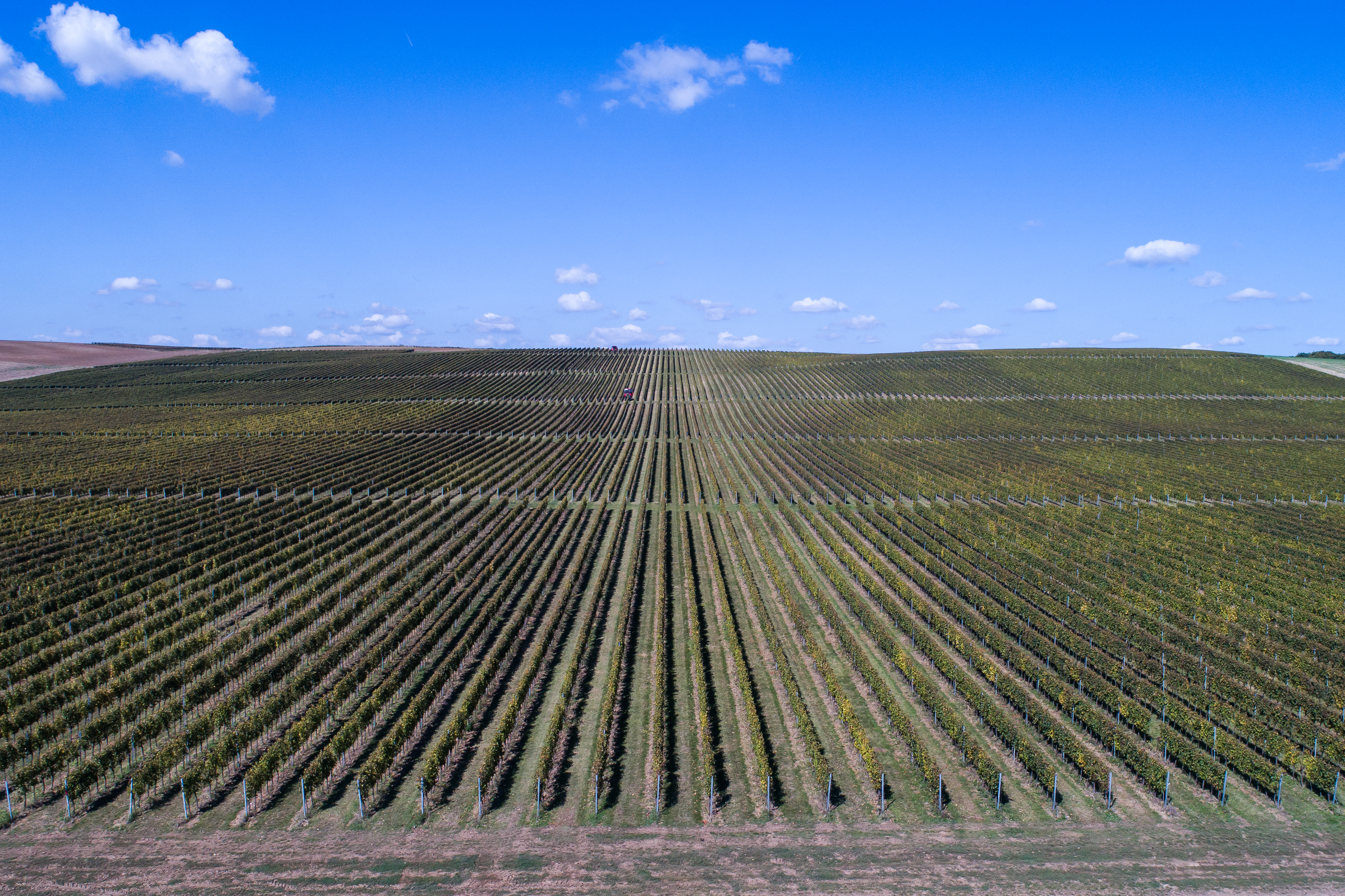 Ljeto u Slavoniji i Baranji