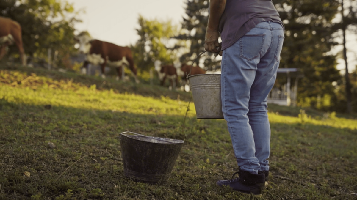 Zagreb County A Taste Above