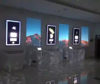 Putevima pračovjeka