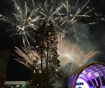 Doček nove godine u Popovači