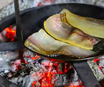 Brodsko-posavska županija